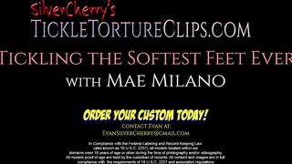 Silver Cherry – Tickling the Softest Feet Ever