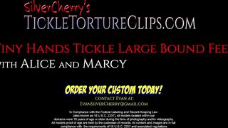 Silver Cherry – Tiny Hands Tickle Large Bound Feet