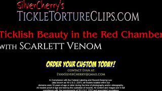 Silver Cherry – Ticklish Beauty in the Red Chamber
