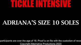 Tickle Intensive – Adriana’s Size 10 Soles